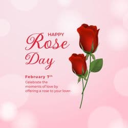 Rose Day gift promotion post featuring rose bouquet and gift box – AiFlexa