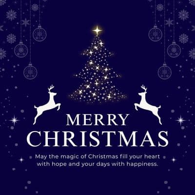 Merry Christmas festive celebration social media creative