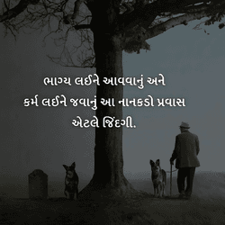 Motivational wisdom quote social media post with dynamic fonts and background